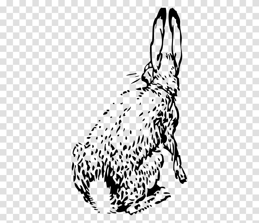 Johnny Automatic Rabbit From Behind, Animals, Gray, World Of Warcraft Transparent Png