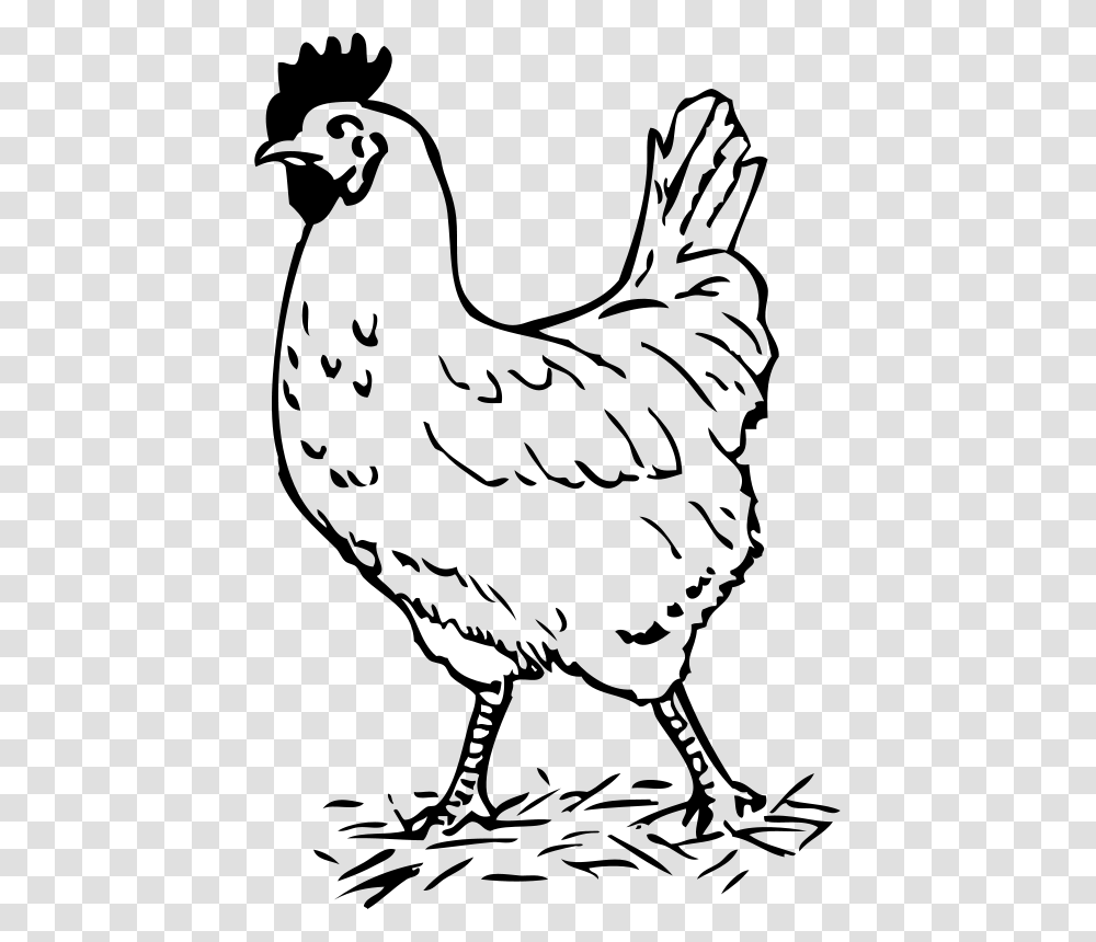 Johnny Automatic Rooster, Animals, Bird, Silhouette Transparent Png