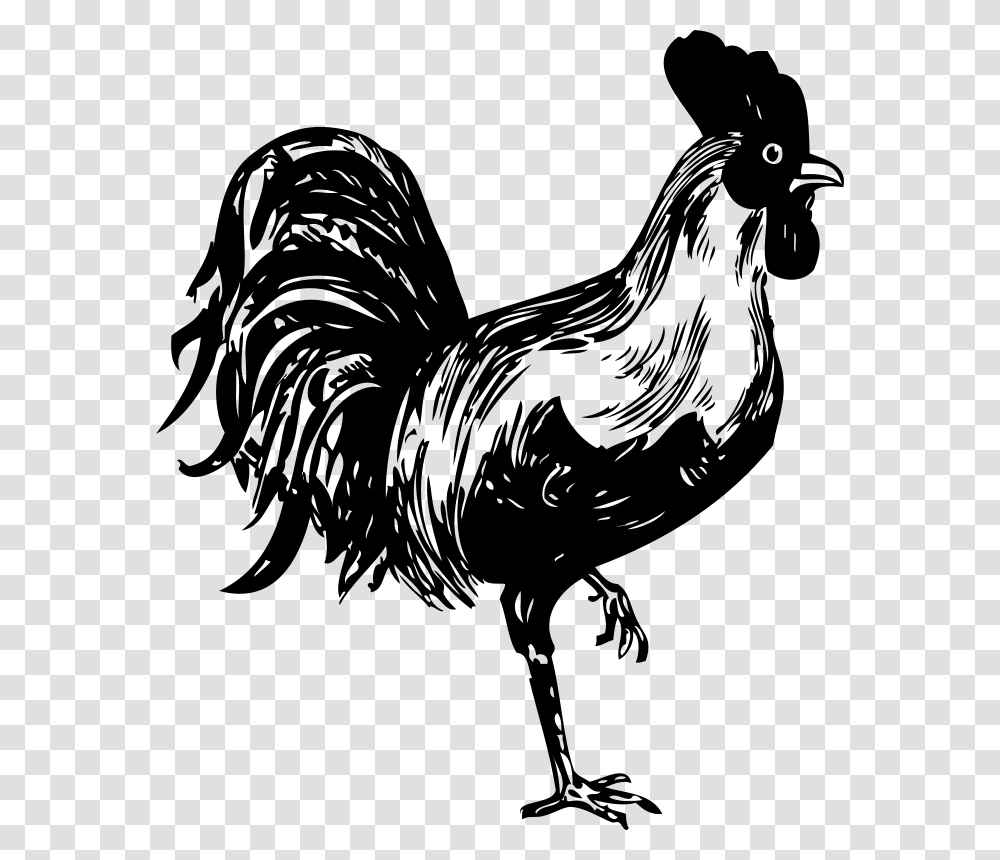 Johnny Automatic Rooster, Animals, Gray, World Of Warcraft Transparent Png