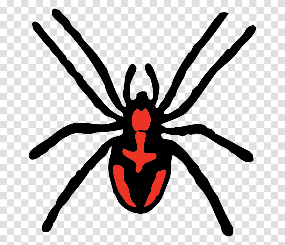 Johnny Automatic Spider, Animals, Logo, Trademark Transparent Png