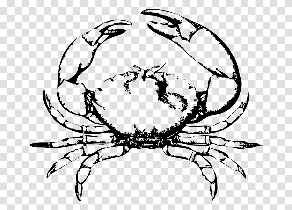 Johnny Automatic Stone Crab, Animals, Gray, Light, Final Fantasy Transparent Png