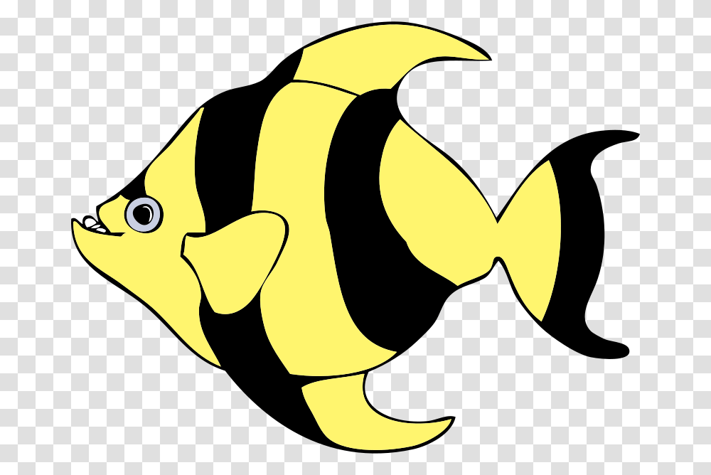 Johnny Automatic Striped Tropical Fish, Animals, Graduation, Rock Beauty Transparent Png