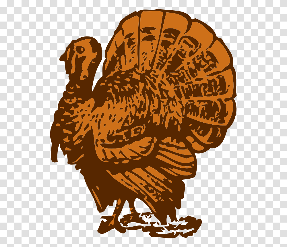 Johnny Automatic Turkey, Animals, Poultry, Fowl, Bird Transparent Png