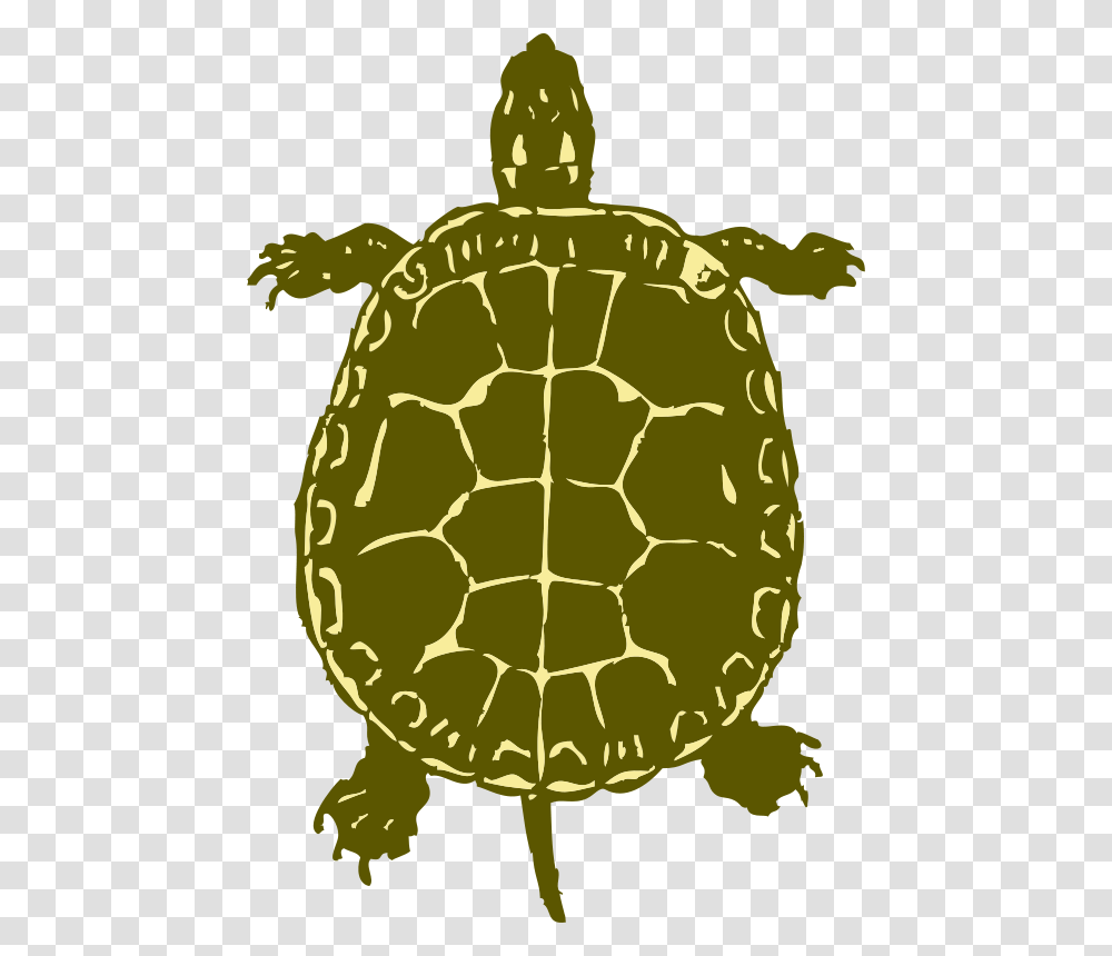 Johnny Automatic Turtle, Animals, Tortoise, Reptile, Sea Life Transparent Png