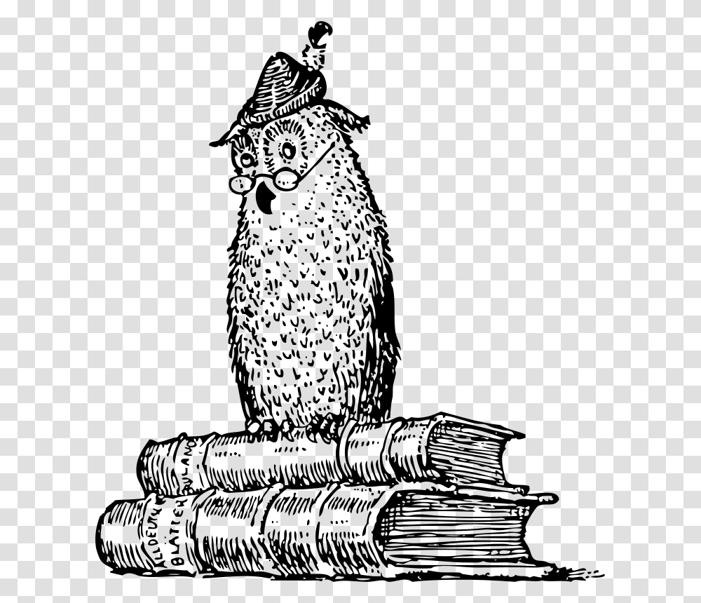 Johnny Automatic Wise Owl On Books, Education, Gray, World Of Warcraft Transparent Png