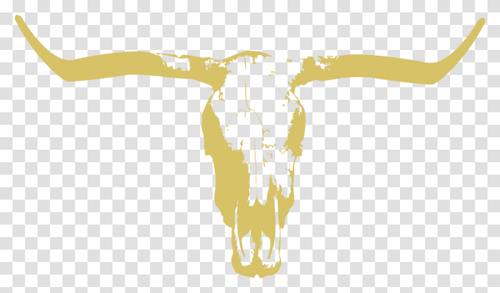 Johnny Utahs Nyc, Longhorn, Cattle, Mammal, Animal Transparent Png