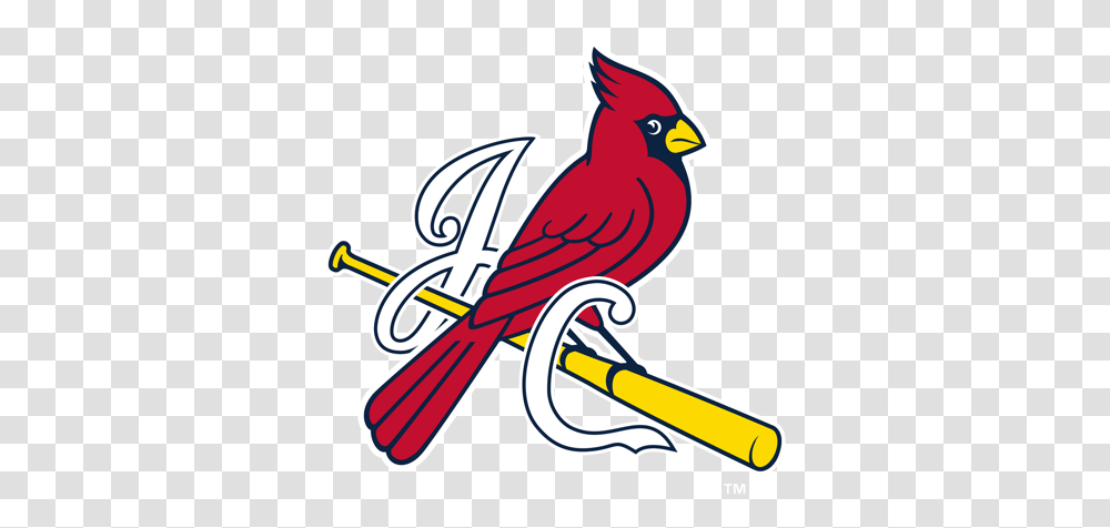 Johnson City Cardinals St Louis Cardinals Logo 1 1, Bird Transparent Png