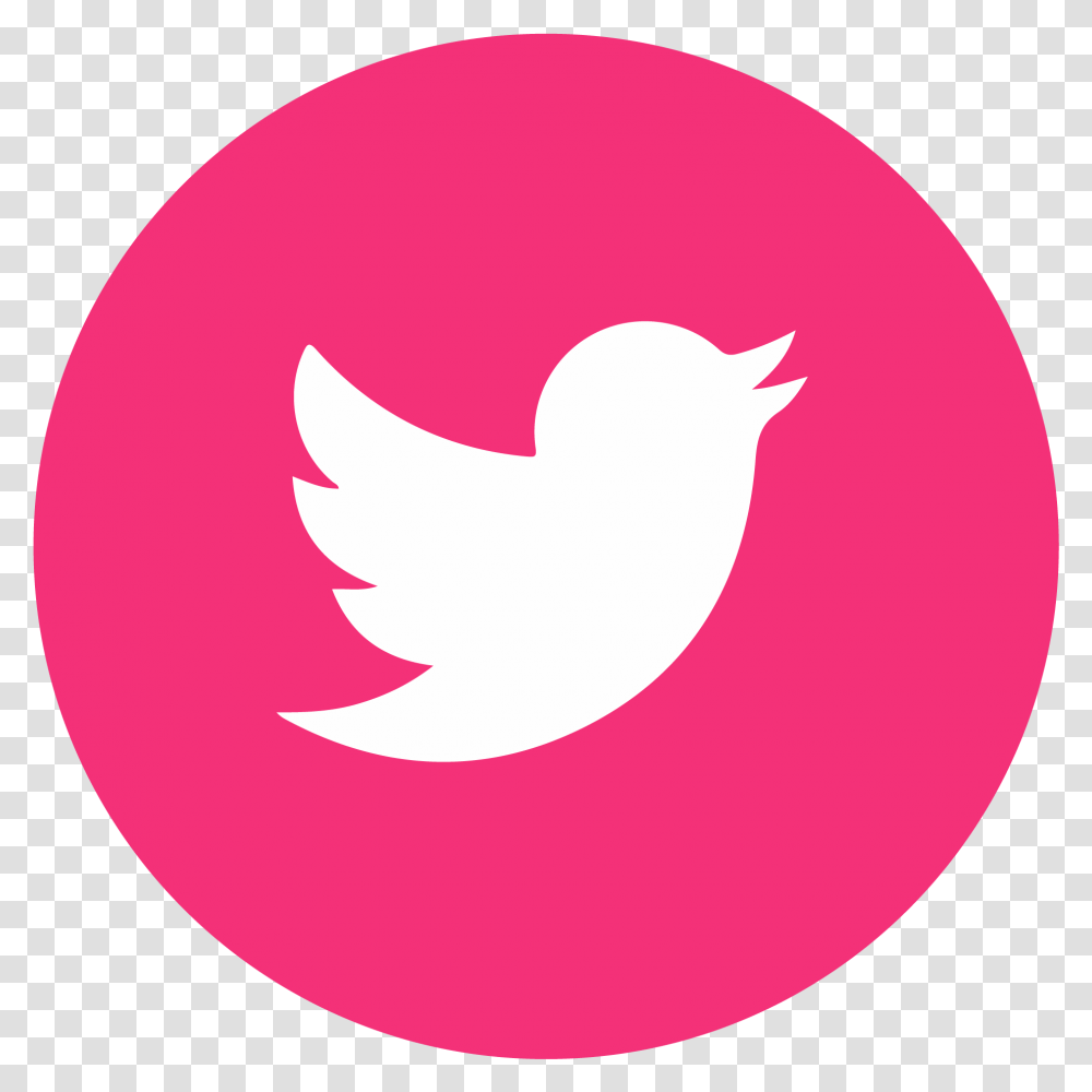 Join The Yes Revolution Free Twitter Accounts 2019, Animal, Bird, Logo Transparent Png