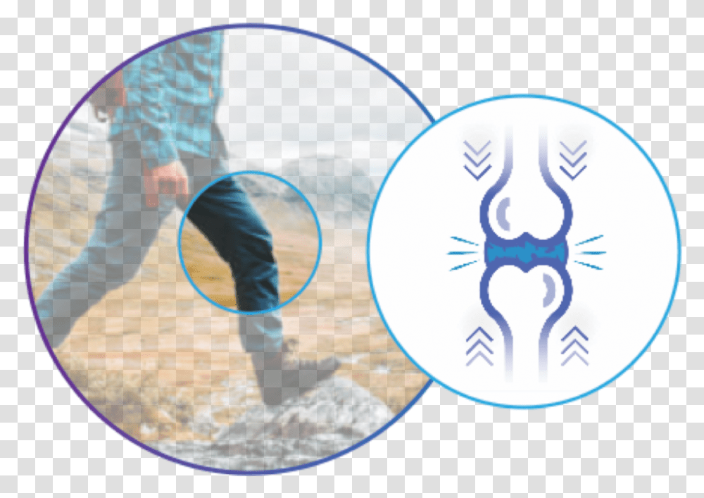 Joint Loading Is The Primary Driver Of Osteoarthritis Circle, Person, Outdoors, Pants Transparent Png