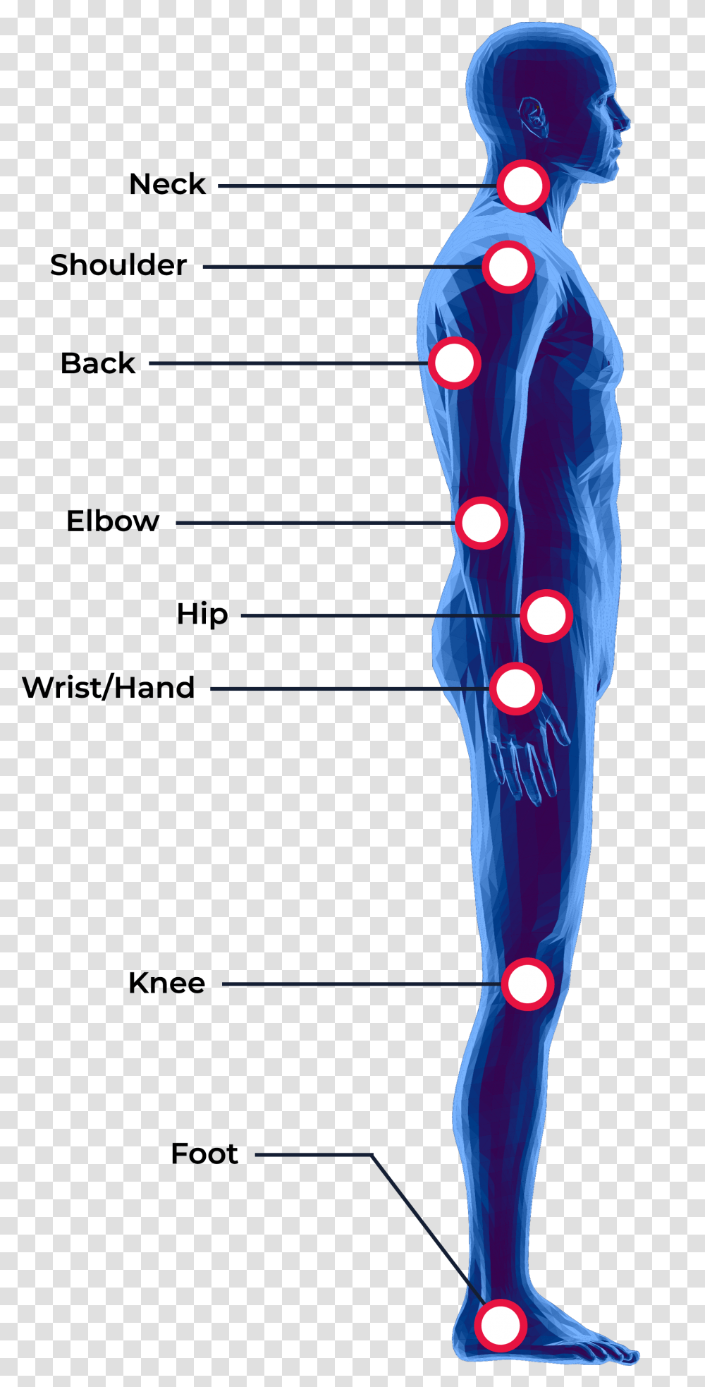 Joint Of Full Body, Light, Hip Transparent Png