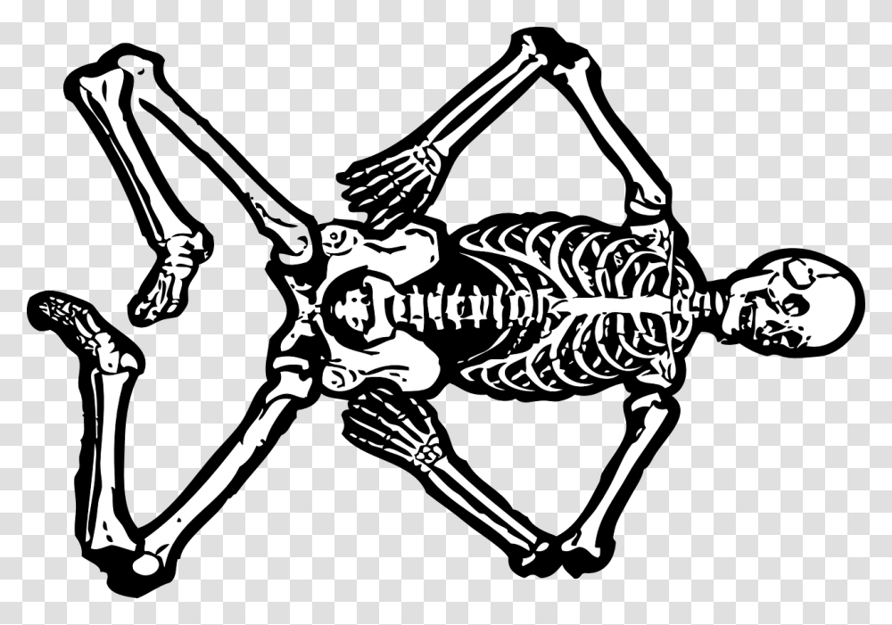 Jokes On Medical Students, Bow, Skeleton, Leisure Activities, Stencil Transparent Png