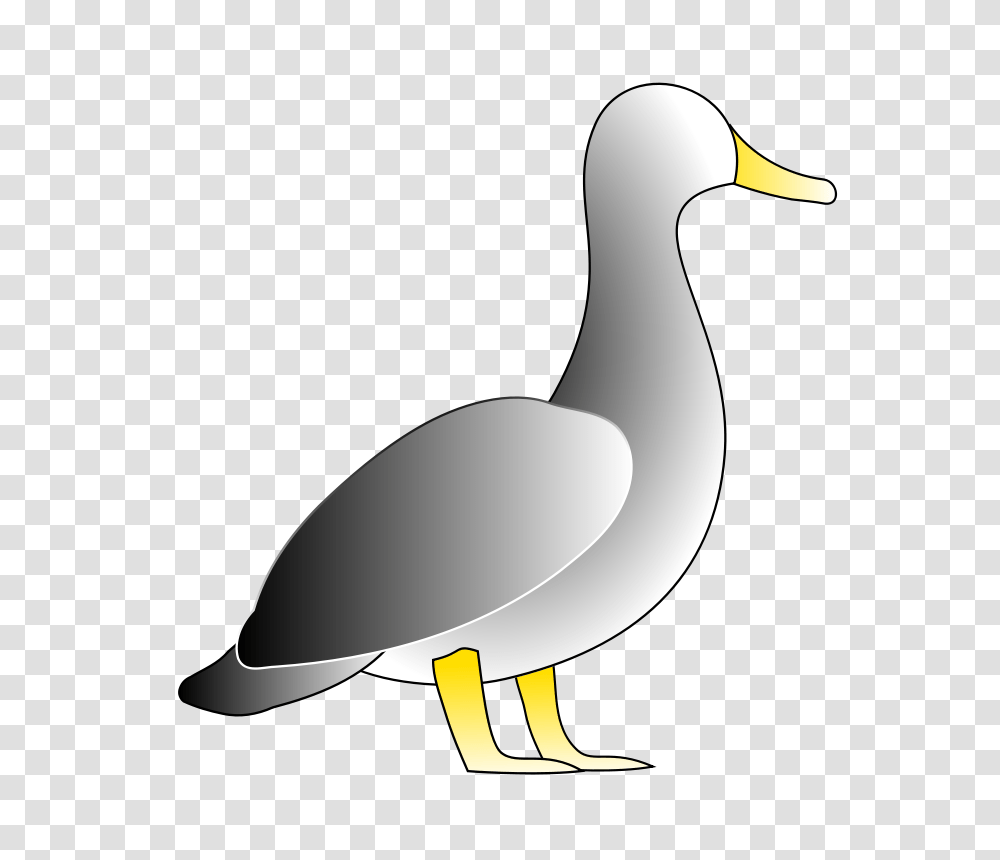 Jonathon S Duck, Animals, Goose, Bird, Lamp Transparent Png