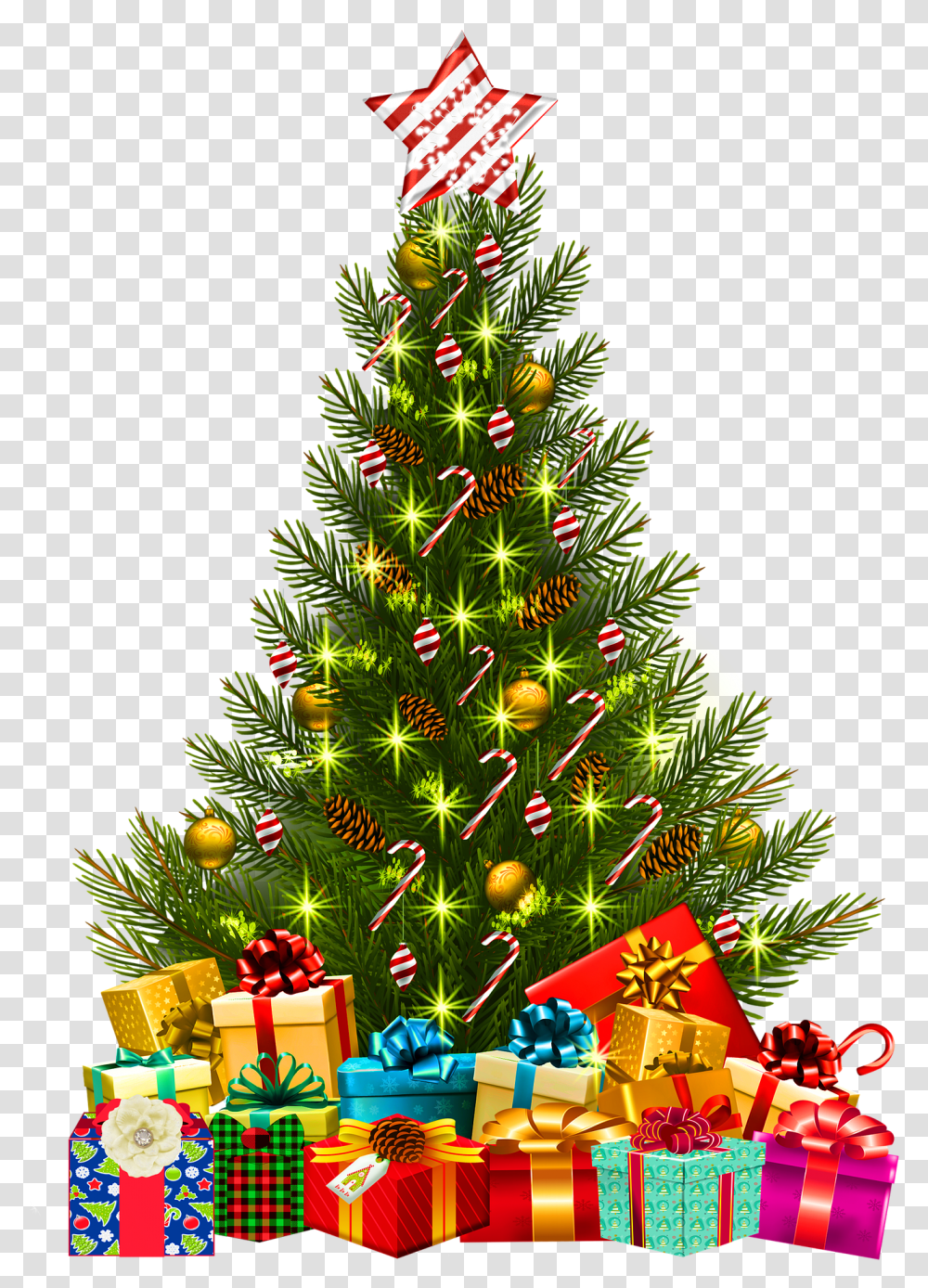 Jones Intermediate School Sea Of Thieves Christmas, Christmas Tree, Ornament, Plant, Vegetation Transparent Png