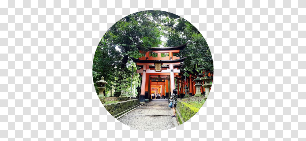 Jonna Sakuranofubuki Twitter Fushimi Inari Taisha, Person, Human, Fisheye, Gate Transparent Png
