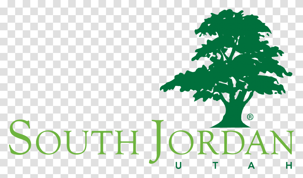 Jordan Logo, Tree, Plant, Vegetation Transparent Png