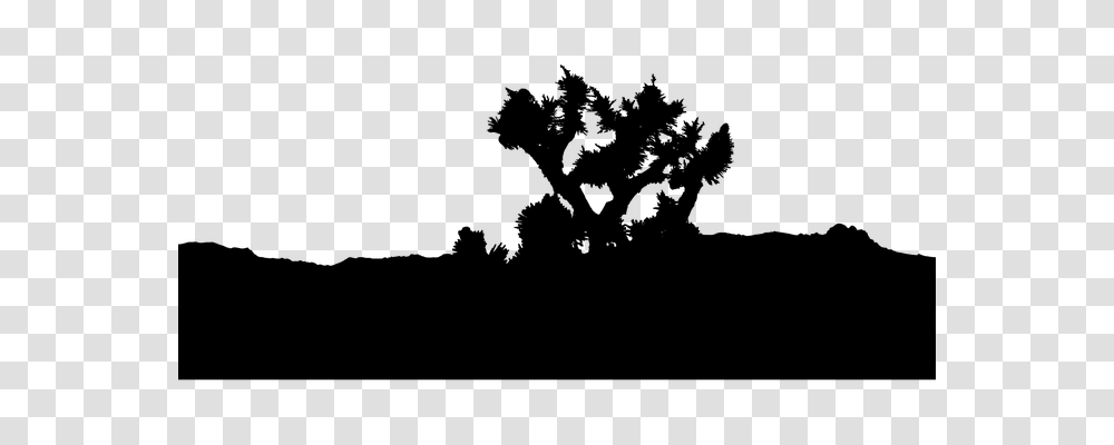 Joshua Tree Nature, Gray, World Of Warcraft Transparent Png