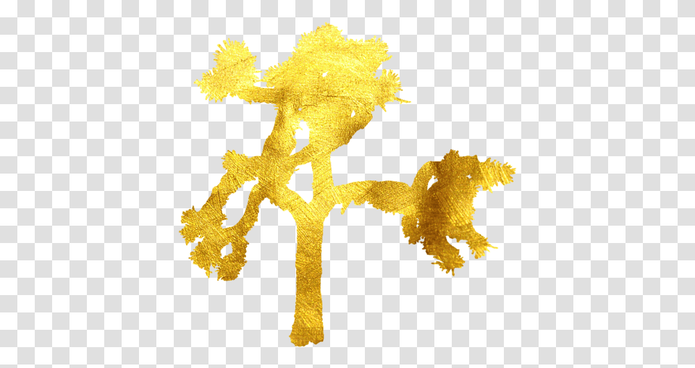 Joshua Tree, Cross, Leaf, Plant Transparent Png