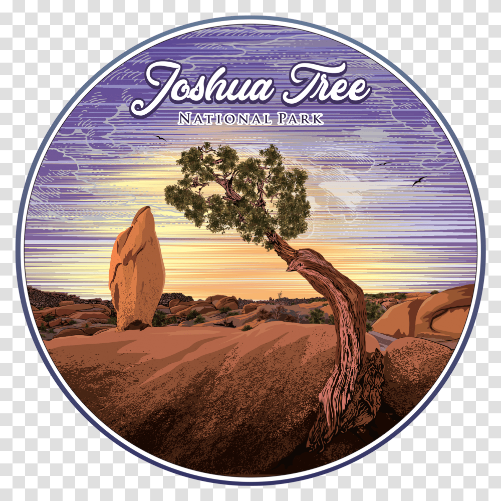 Joshua TreeClass Lazyload Lazyload Mirage Primary Green Park, Plant, Label, Conifer Transparent Png