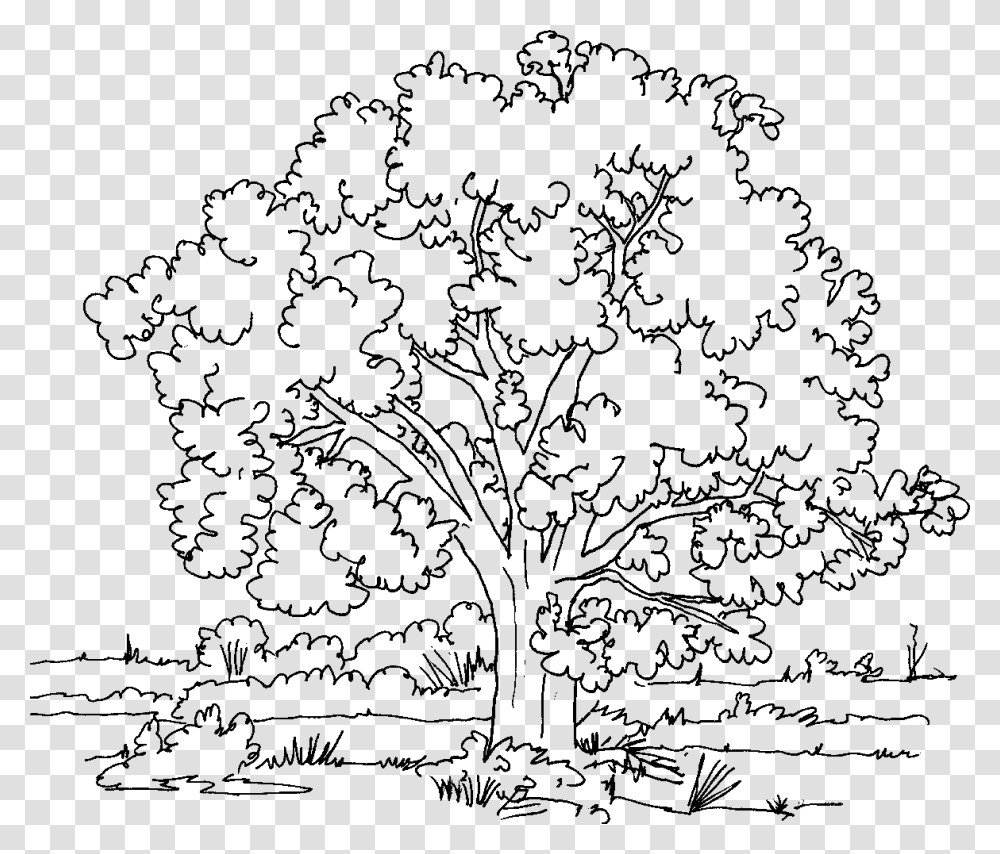 Jpg Black And White Stock Collection Of Free Download Dibujo Para Colorear De Arboles, Gray, World Of Warcraft Transparent Png