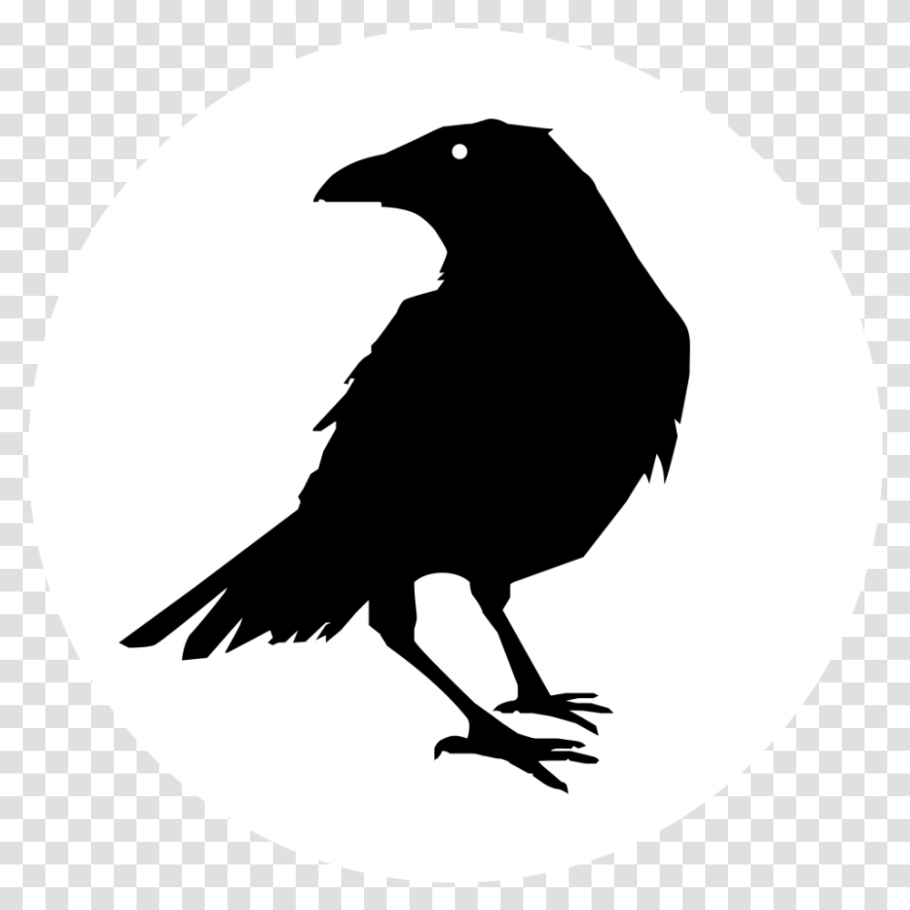 Jpg Download Raven Circle Raven Silhouette, Bird, Animal, Stencil, Blackbird Transparent Png