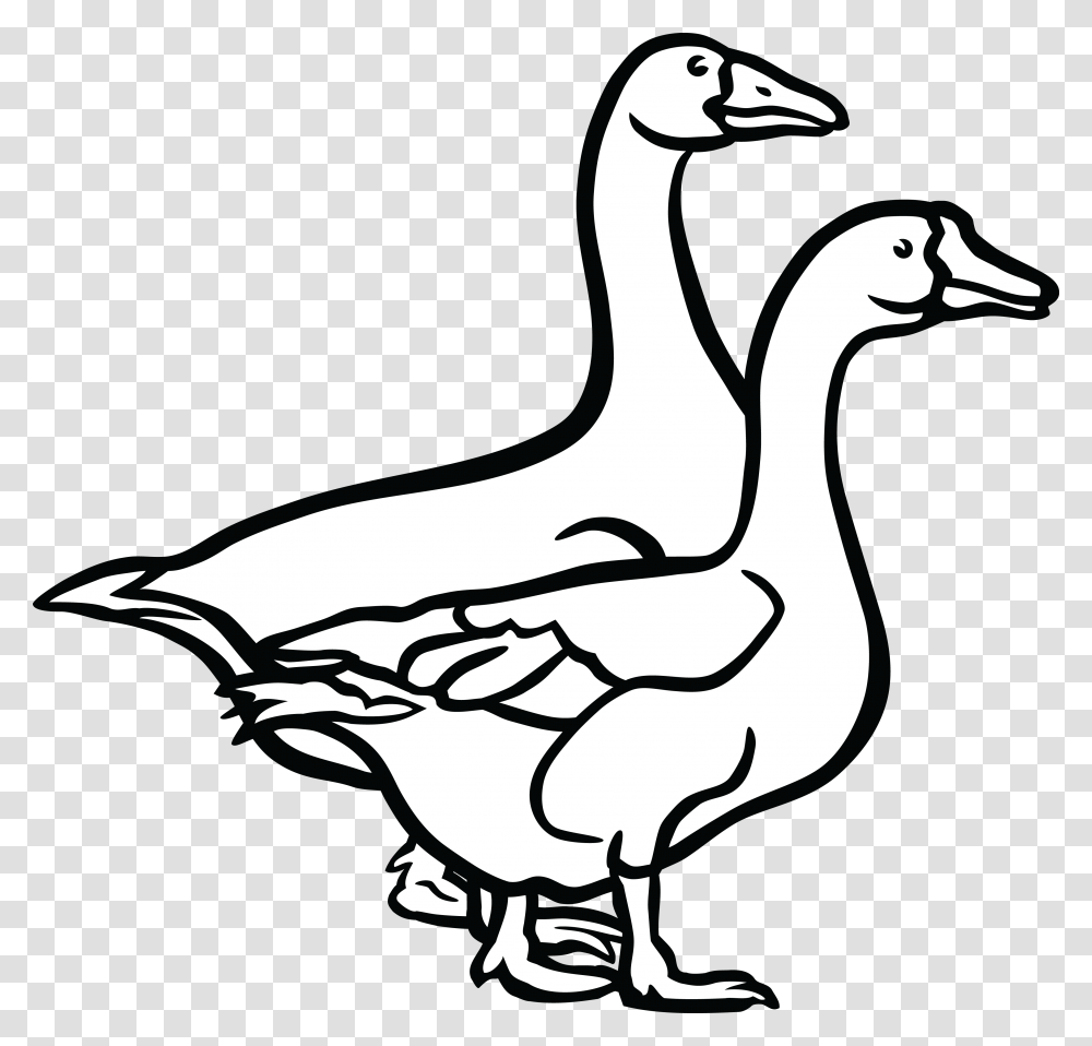 Jpg Eps Ai Svg Cdr Goose Black And White, Bird, Animal, Duck Transparent Png