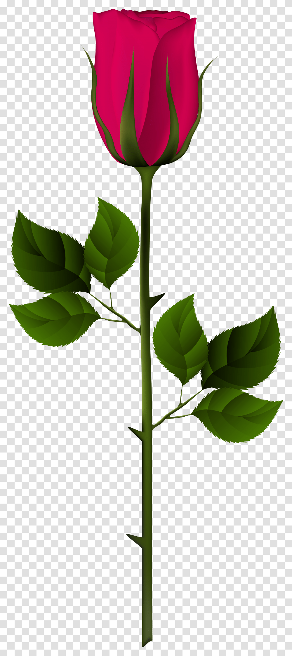 Jpg Free Download Rose Bud Clipart Rose Bud Clipart, Leaf, Plant, Green, Flower Transparent Png