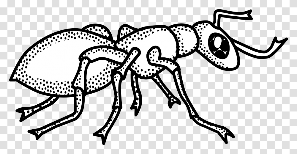 Jpg Freeuse Library Black And White Ant Ant Black And White, Insect, Invertebrate, Animal, Bicycle Transparent Png