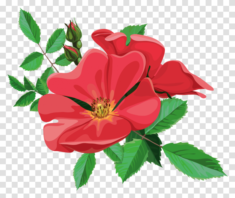 Jpg Library Library Flowers And Animated Flower, Plant, Hibiscus, Blossom, Petal Transparent Png