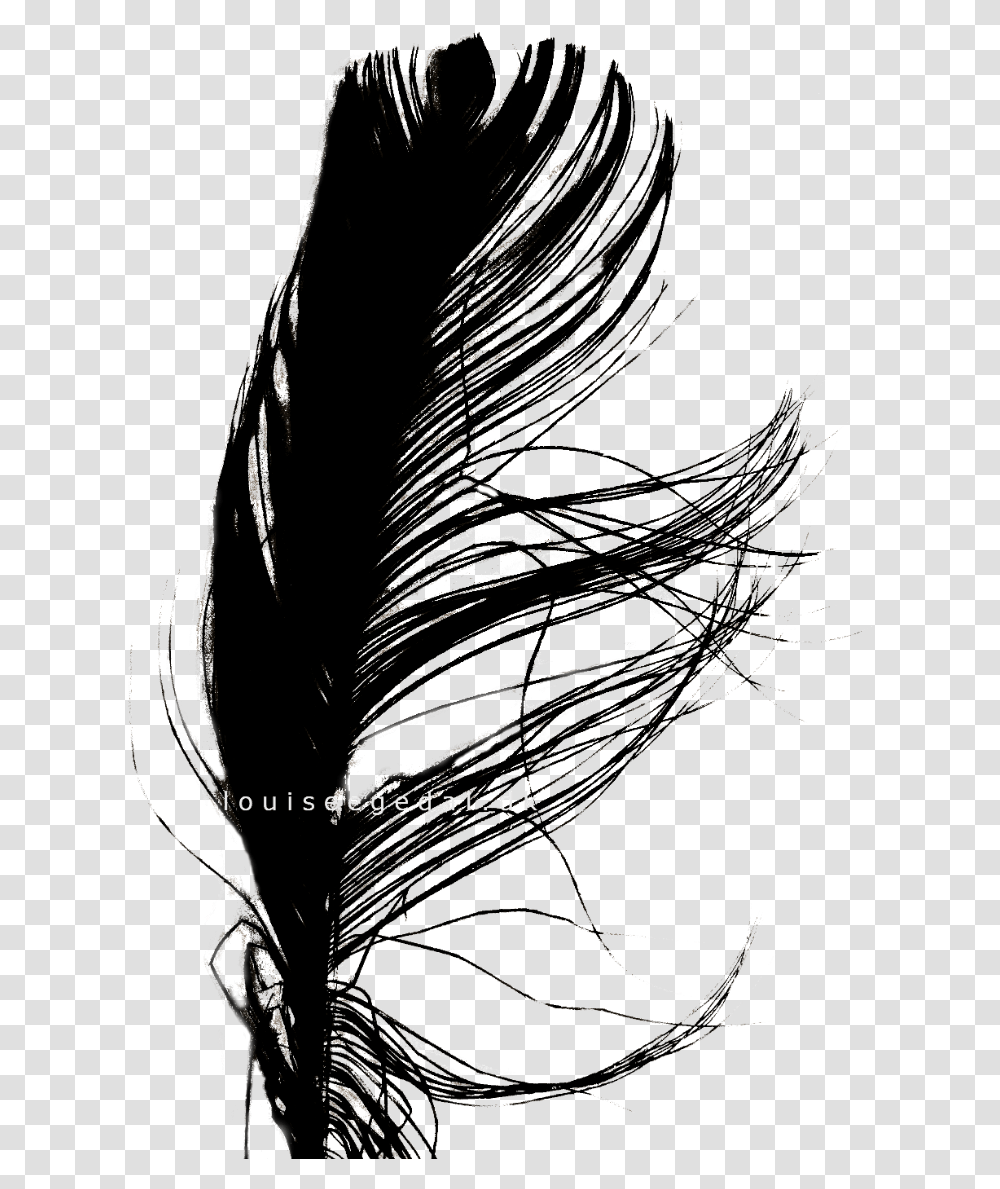 Jpg Stock Interesting Drawing Feather Illustration, Plant, Flare, Light, Outdoors Transparent Png