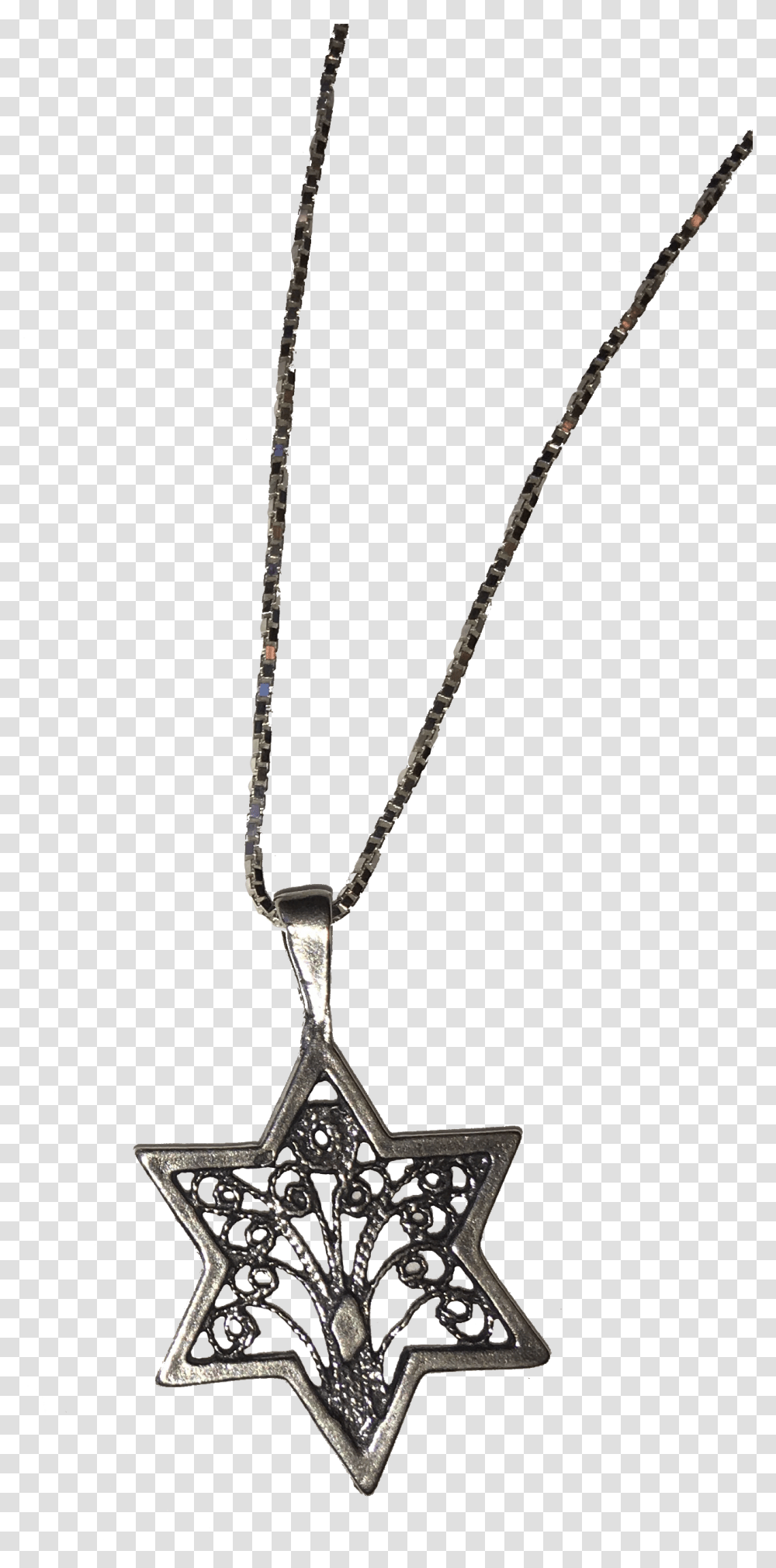 Jpl Books Tree Of Life Star Of David Necklace, Pendant, Jewelry, Accessories, Accessory Transparent Png