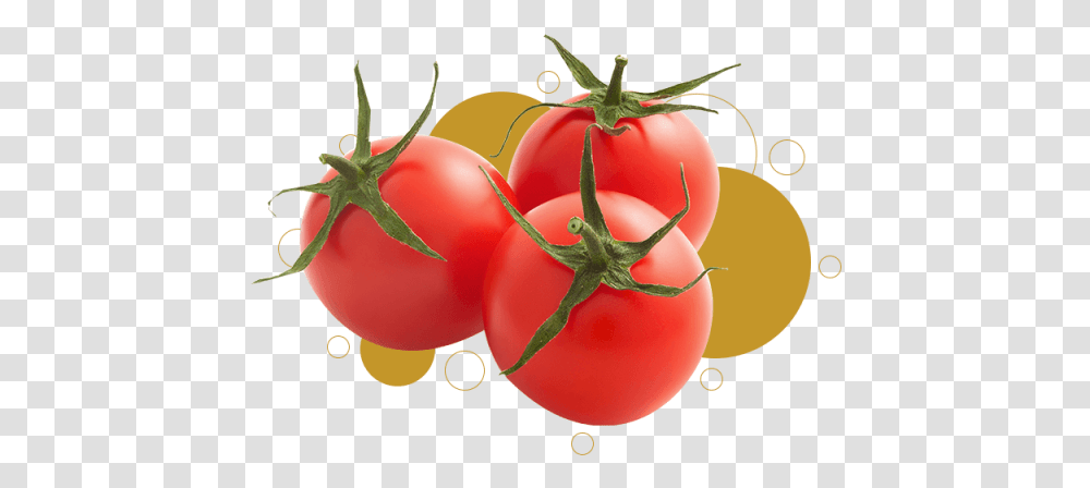 Js Ewers Product Toms Cherry Plum Tomato, Plant, Vegetable, Food Transparent Png