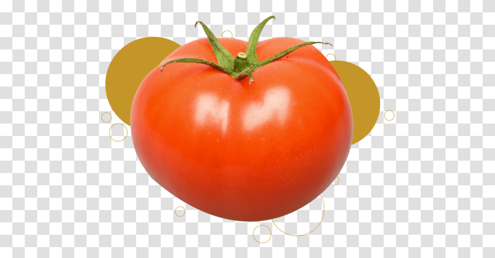 Js Ewers Product Toms Classic Plum Tomato, Plant, Vegetable, Food, Balloon Transparent Png