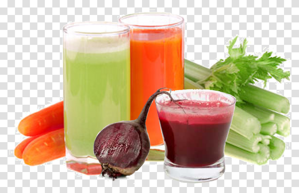Juice Fruit Vegetable 2013 Processing Food Business Beetroot Cucumber And Carrot Juice, Beverage, Smoothie, Plant, Potted Plant Transparent Png