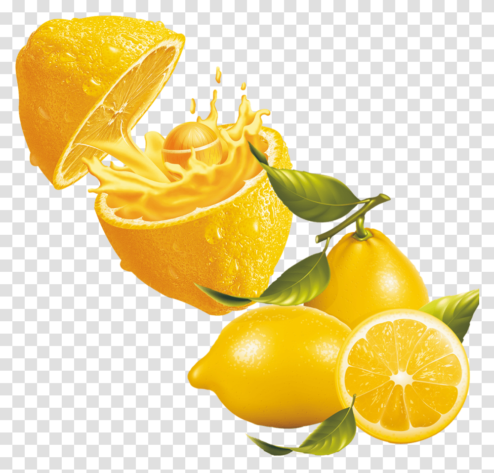 Juice Lemonade Clip Art Real Fruit Illustration, Citrus Fruit, Plant, Food, Beverage Transparent Png