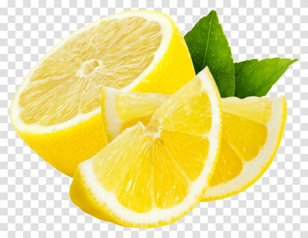 Juicer Lemon Squeezer Lime Background Lemon, Plant, Citrus Fruit, Food, Potted Plant Transparent Png