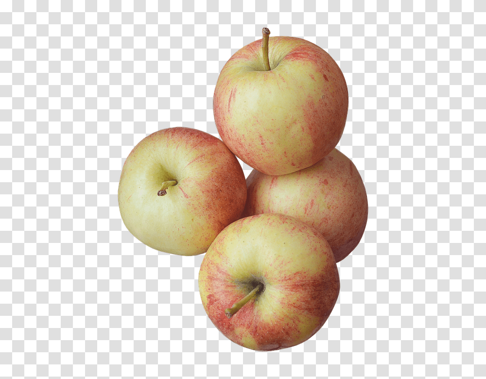 Juicy 960, Fruit, Plant, Apple, Food Transparent Png