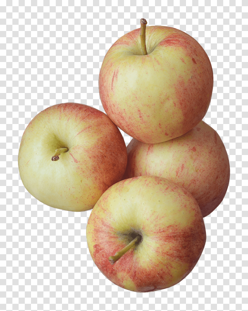 Juicy Food, Plant, Fruit, Apple Transparent Png