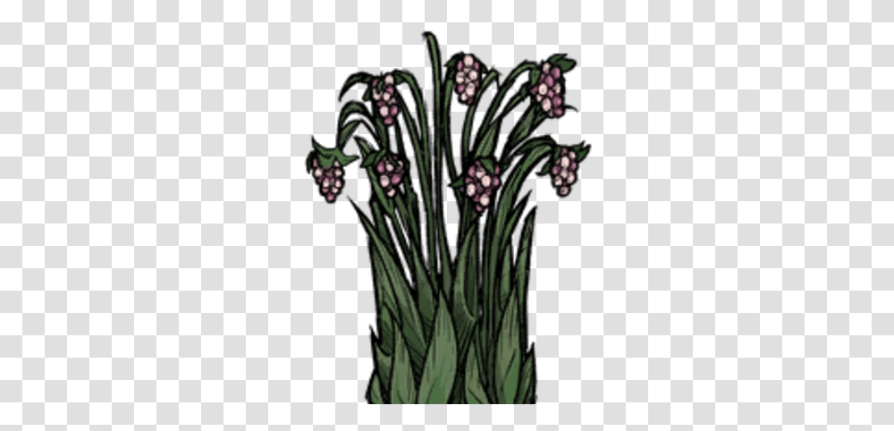 Juicy Berry Bush Don't Starve Game Wiki Fandom Meu Primo Ta Vindo Ai Nao Zoa Ele, Plant, Flower, Blossom, Lavender Transparent Png