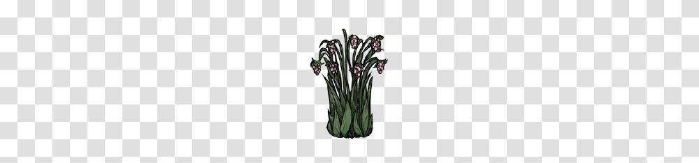 Juicy Berry Bush, Plant, Flower, Vase, Jar Transparent Png