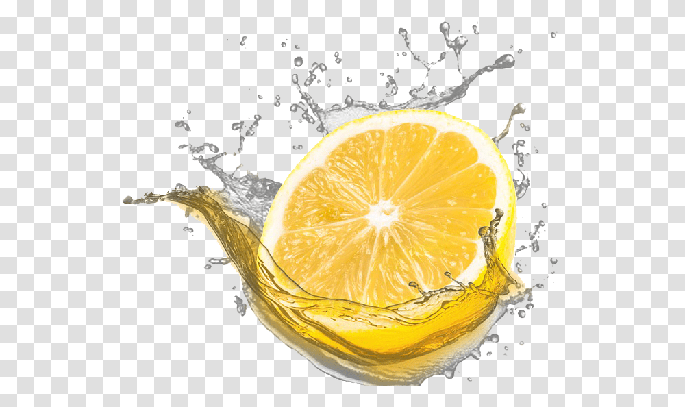 Juicy Lemon, Plant, Citrus Fruit, Food, Beverage Transparent Png