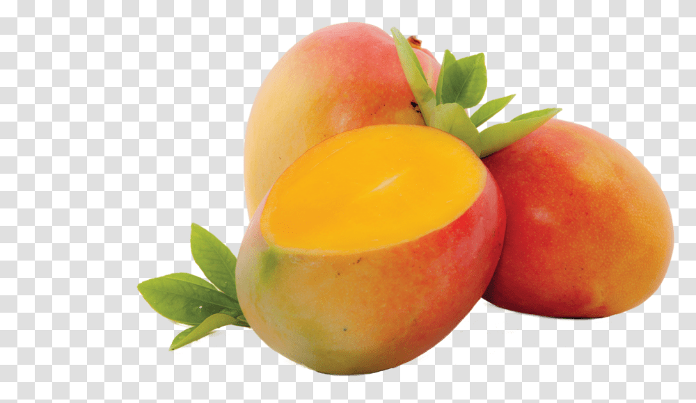 Juicy Mango Free Images Of Mangoes, Plant, Fruit, Food, Egg Transparent Png