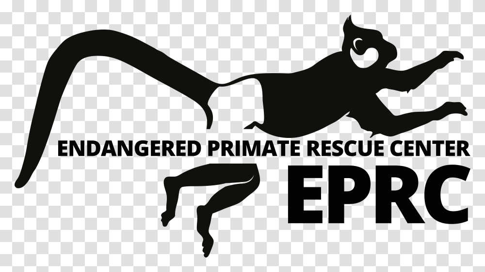 Jumping Cat, Person, Stencil, Sport, Hand Transparent Png