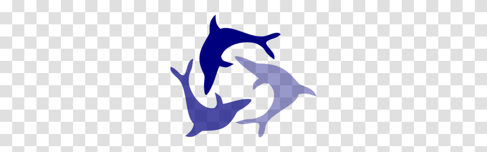 Jumping Dolphin Clip Art, Person, Human, Animal Transparent Png