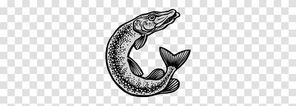 Jumping Fish Clip Art, Animal, Eel, Trout Transparent Png