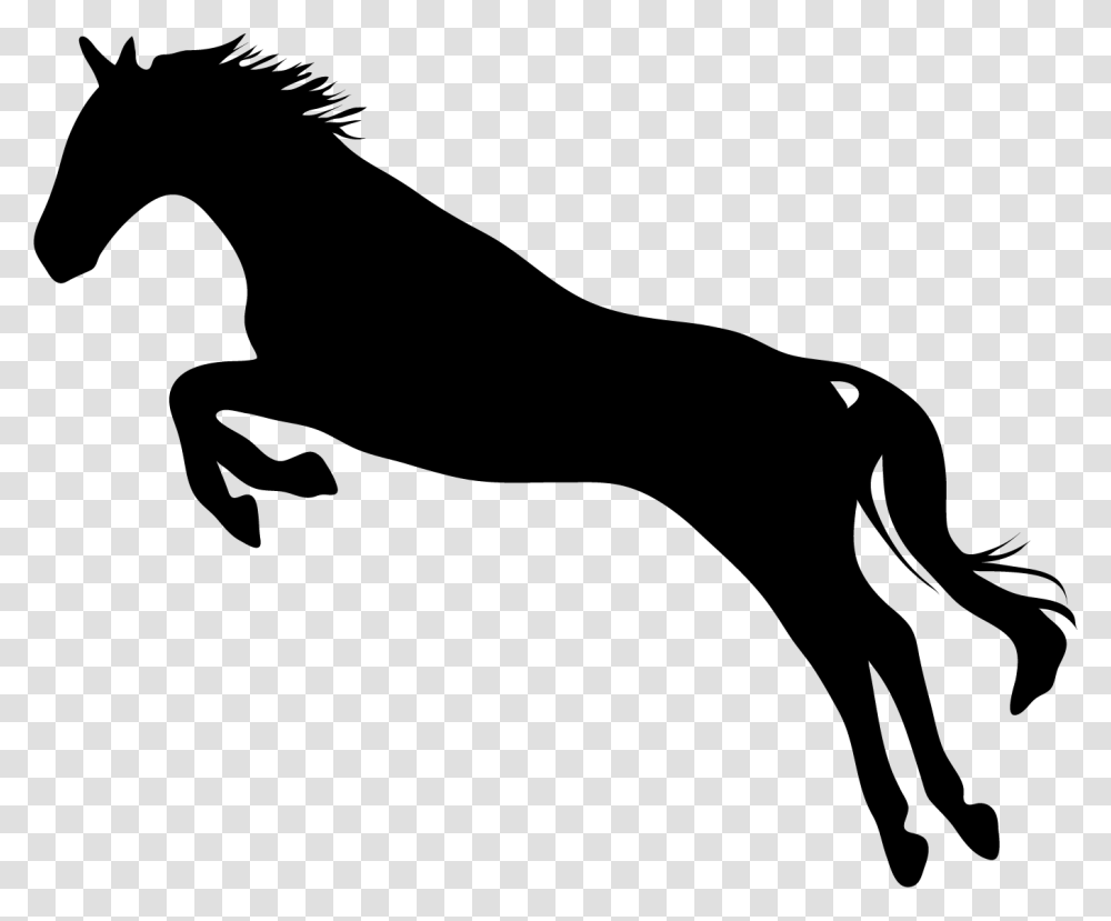 Jumping Horse Decal, Silhouette, Stencil, Mammal, Animal Transparent Png