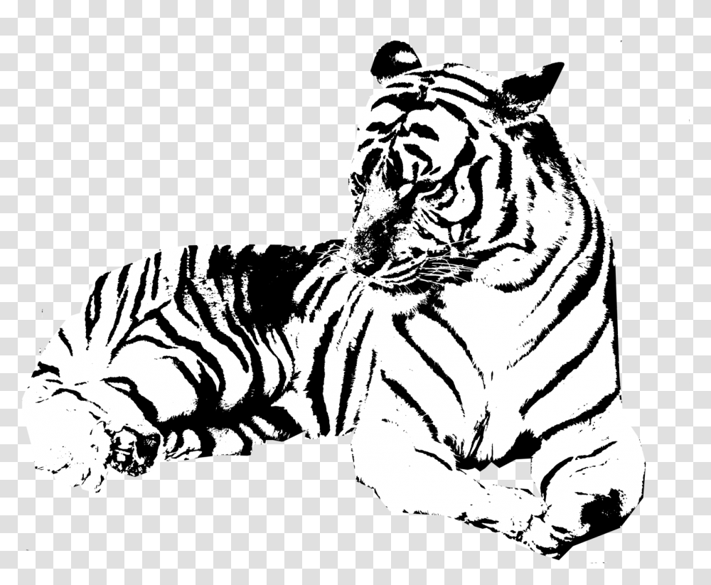 Jumping Tiger Tiger Clipart Black And White Background, Wildlife, Mammal, Animal Transparent Png
