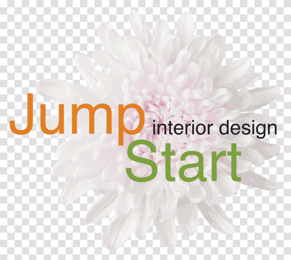 Jumpstart Interior Design, Plant, Flower, Dahlia, Bird Transparent Png