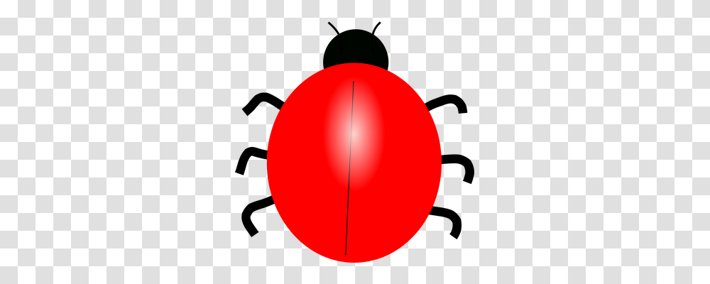 June Bug Animals, Ball, Balloon, Sphere Transparent Png