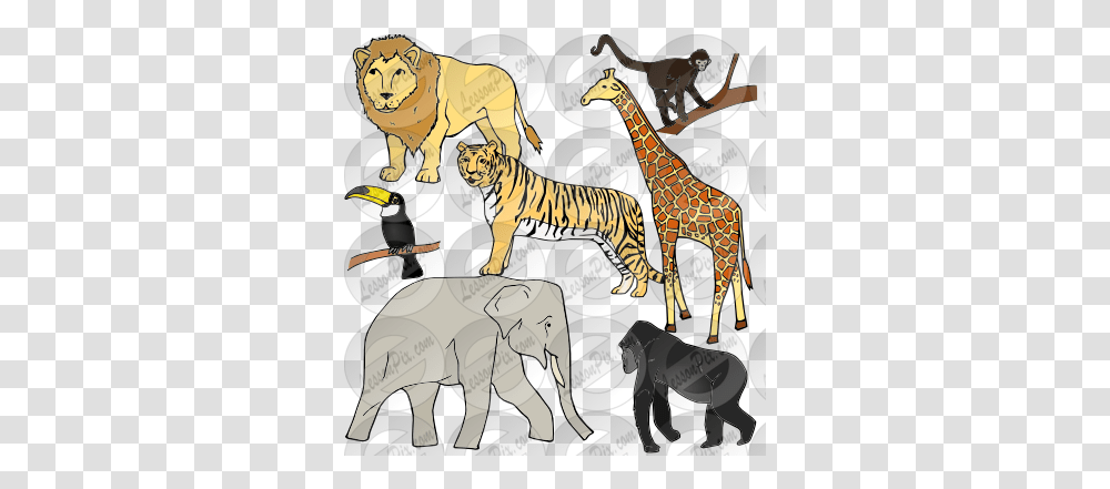 Jungle Animals Picture For Classroom Illustration, Tiger, Wildlife, Mammal, Elephant Transparent Png