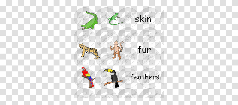 Jungle Animals Picture For Classroom Therapy Use Great Day Clip Art, Text, Person, Tiger, Label Transparent Png